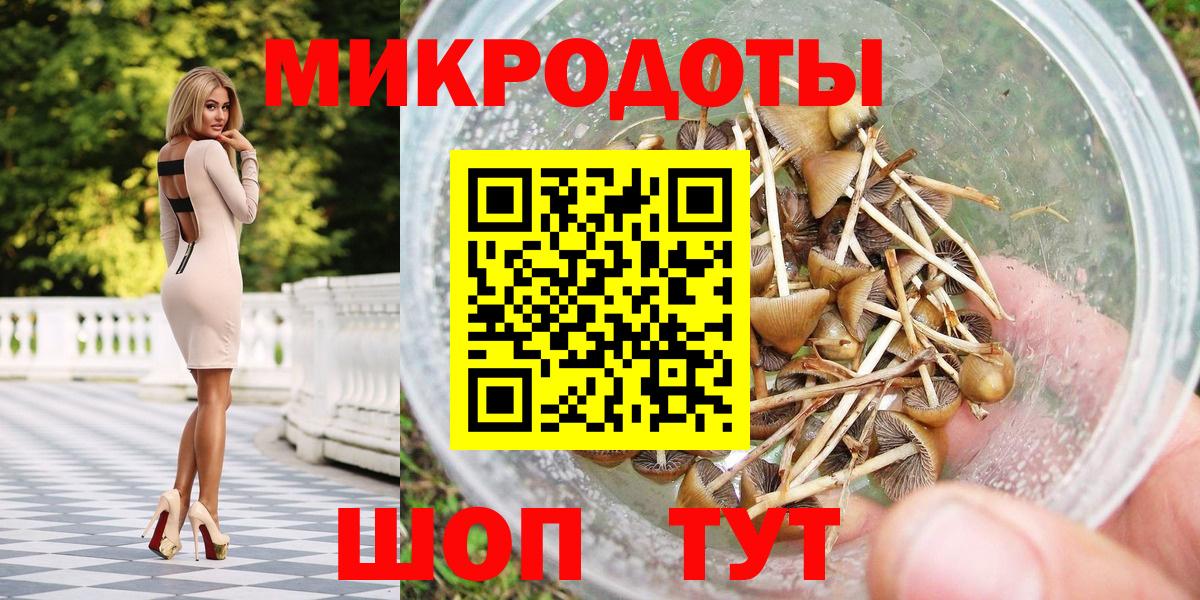Псилоцибиновые грибы Psilocybe Георгиевск