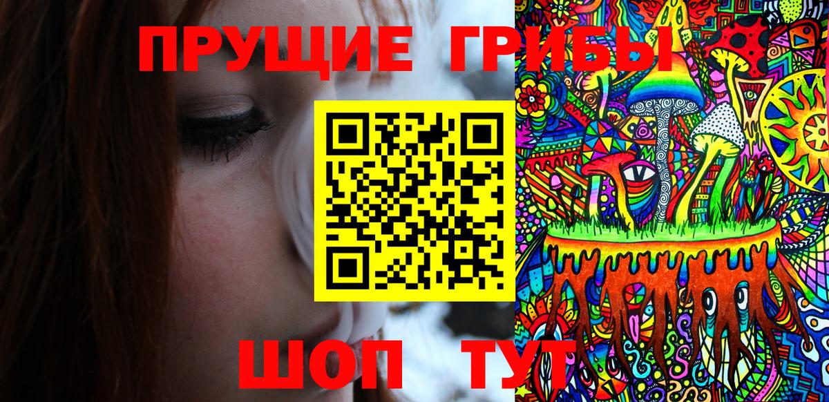 А ПВП Георгиевск